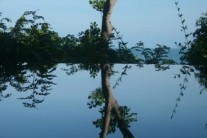 Reflections of Thailand
